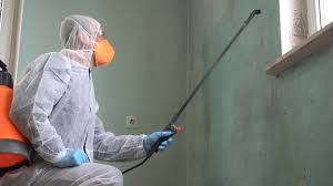 Best Black Mold Removal  in Centereach, NY